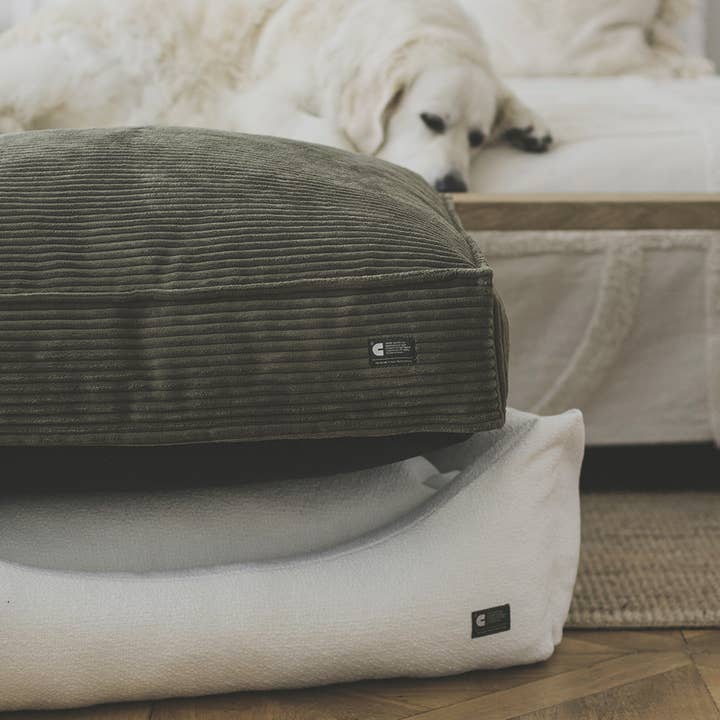 CAFIDE - Wholesale Pet Bed - Dog - Green Corduroy Dog Bed, Cuadra