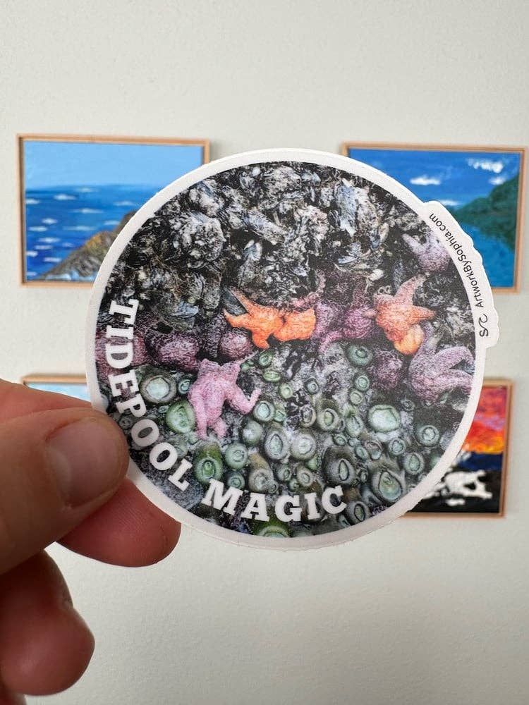 Artwork by Sophia - Wholesale Sticker - Tidepool Magic Sticker 🌊0