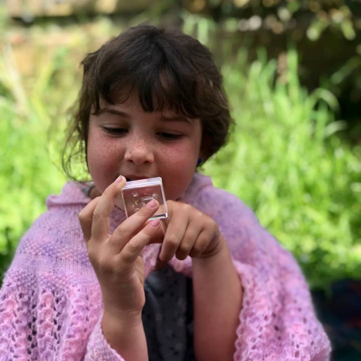 Our Earth Life - Wholesale Keepsake coin/token - Dandelion Wishes1