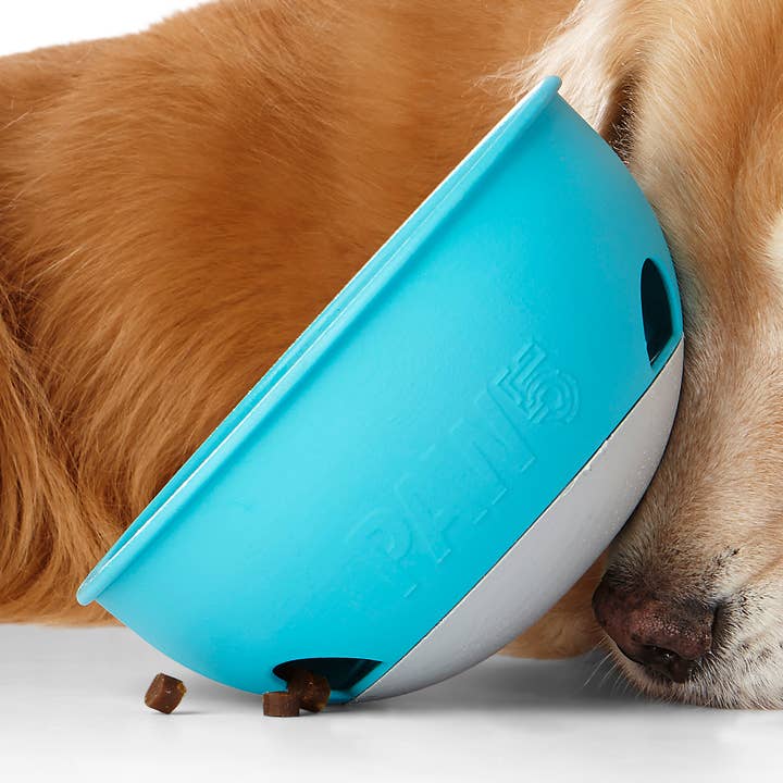 PAW5 - Wholesale Pet Bowl - Cat/Dog - Rock N Bowl