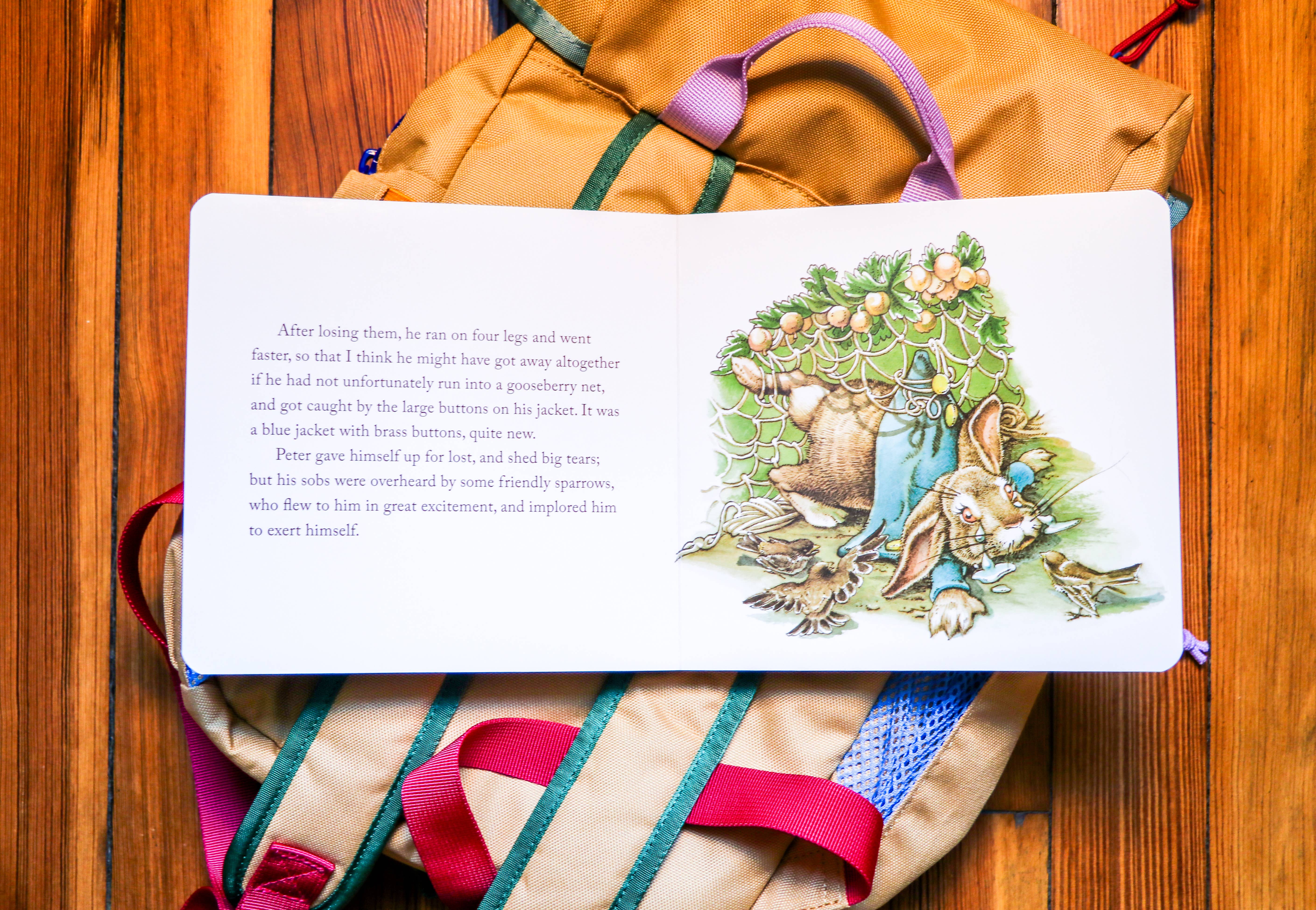 HarperCollins Focus - Wholesale Baby & Toddler Book (0-2) - The Classic Tale of Peter Rabbit Board Book: Revised Ed5