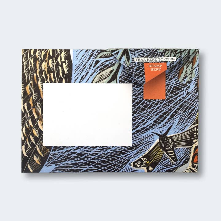 pigeonposted - Wholesale Stationery/notecard set - Wonderfully Wild Pigeon Eco-Friendly Folding Letters x 67