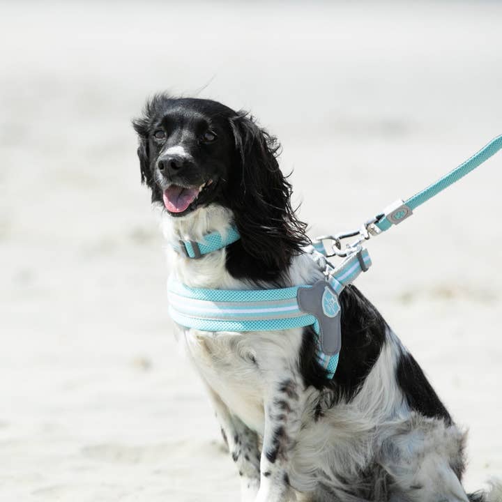 Hugo & Hudson - Wholesale Pet Harness - Dog - Easy Walk V Dog Harness - Aqua