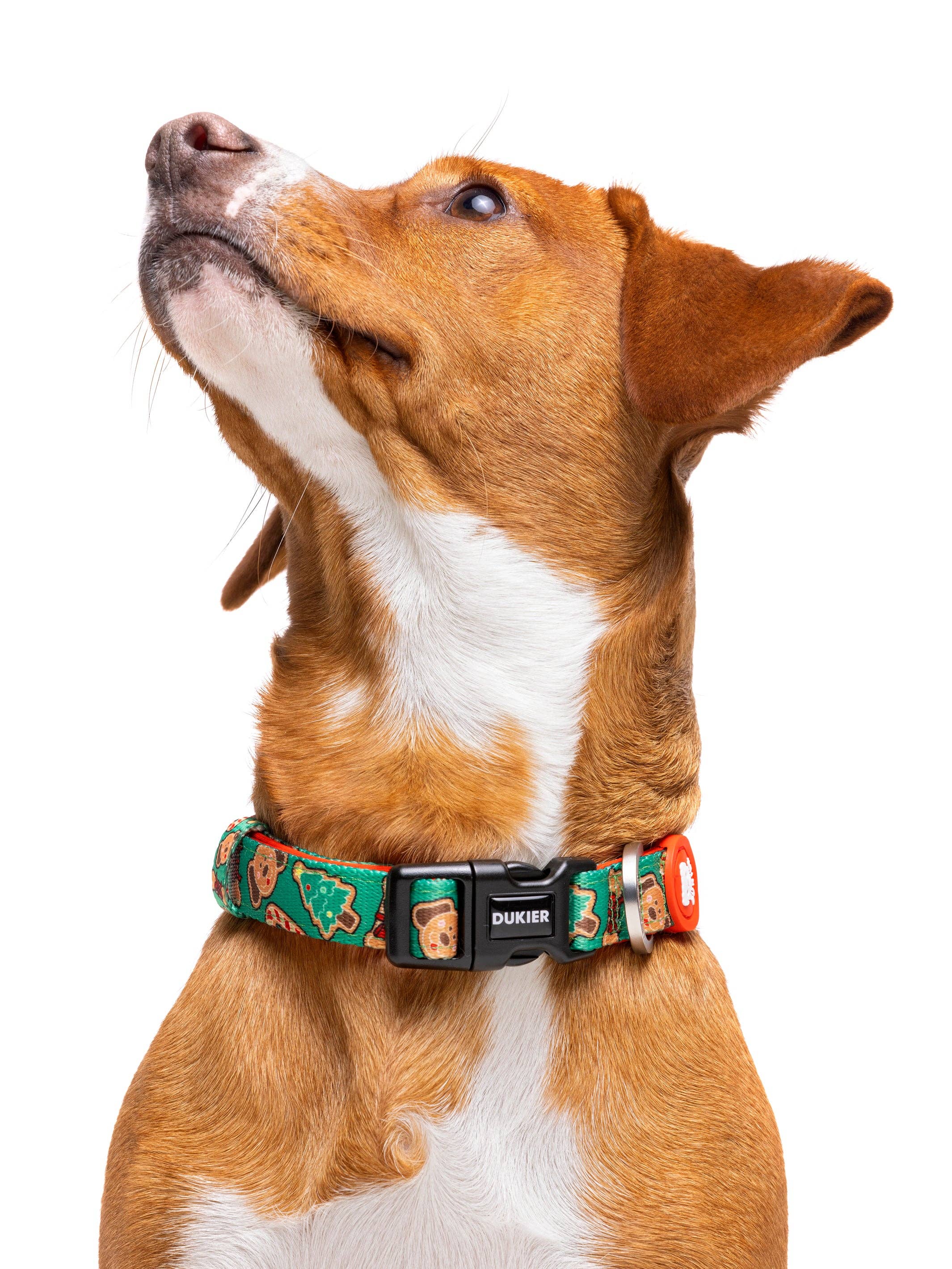 Dukier - Wholesale Pet Collar - Dog - GINGER BREAD DOG COLLAR1
