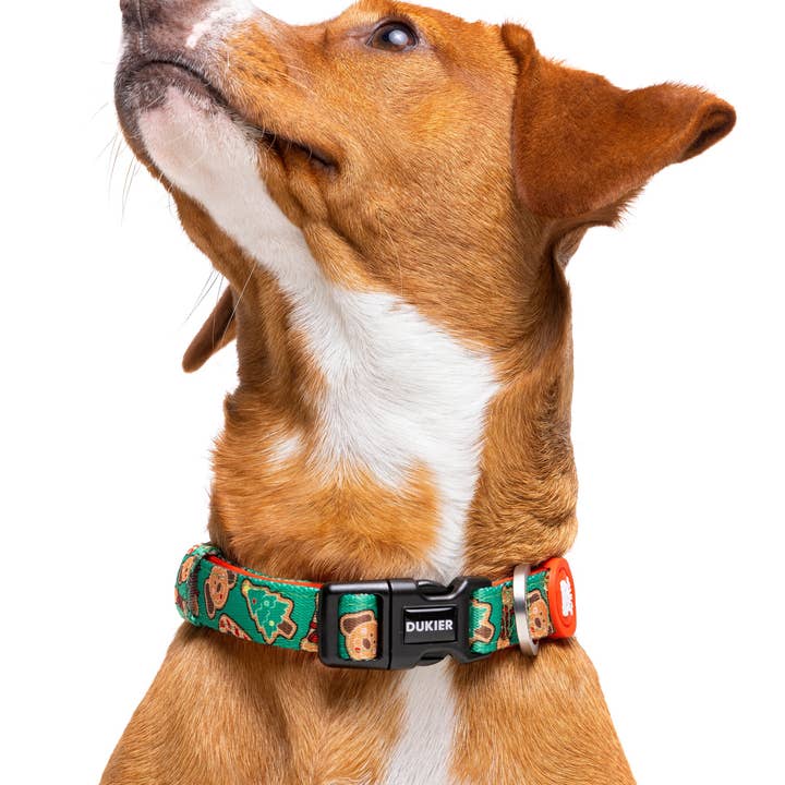 Dukier - Wholesale Pet Collar - Dog - GINGER BREAD DOG COLLAR1