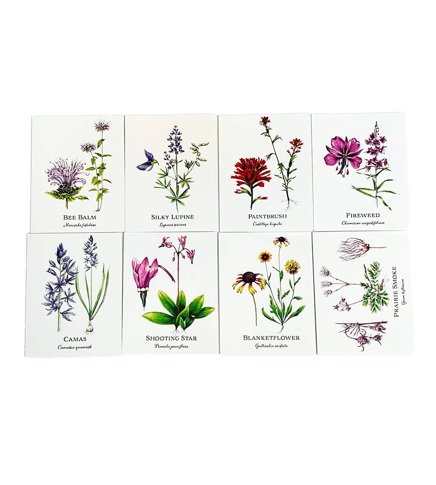 Madrona Press - Wholesale Everyday Greeting Card - Wildflower Card Set - 8 assorted flowers13