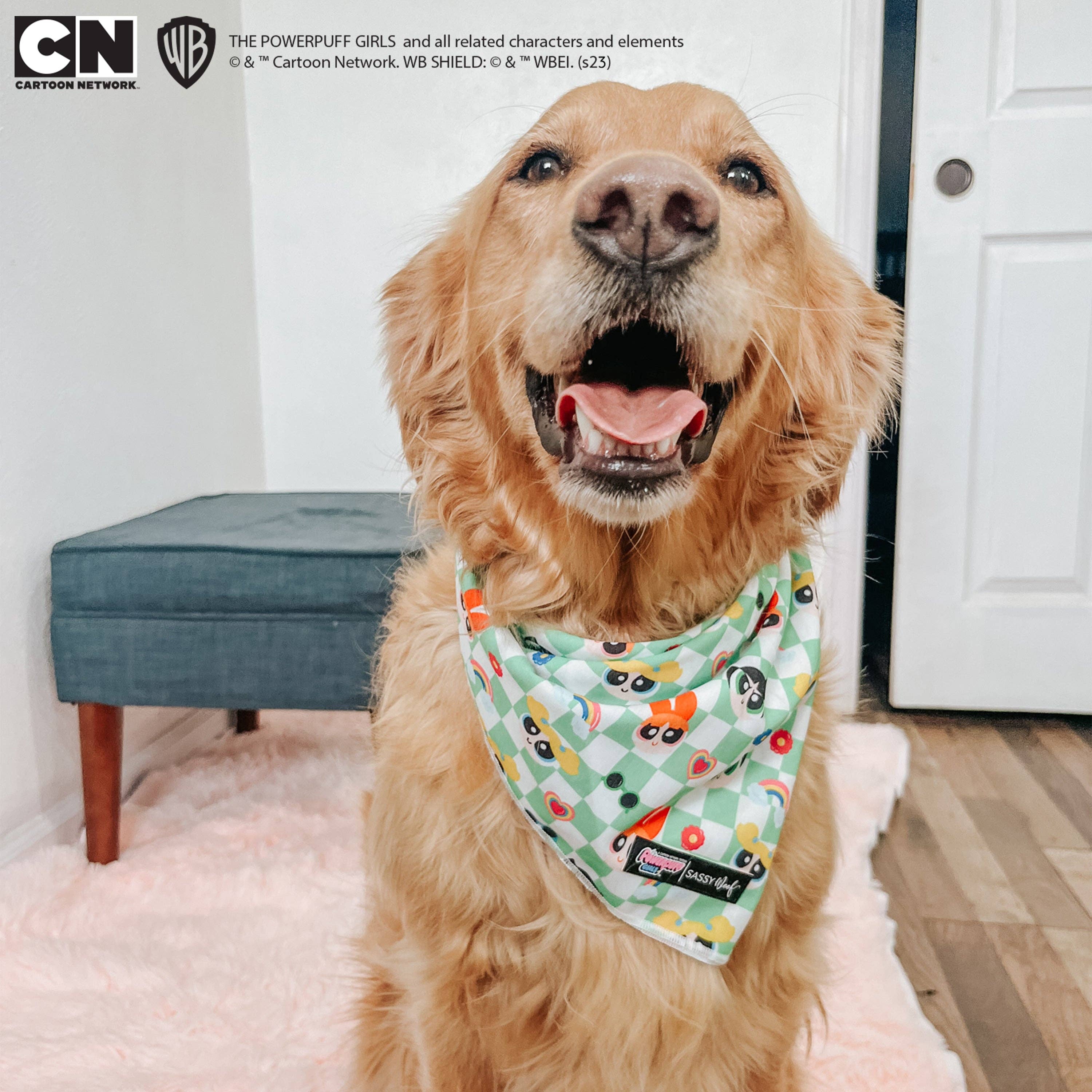 SASSY WOOF - Wholesale Pet Bandana - Dog - Dog Bandana - The Powerpuff Girls™ (Green)11