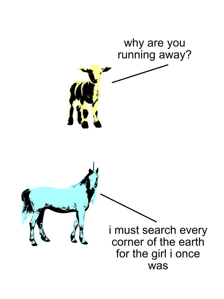 The Girl I Once Was Print: Funny Meme Print for wholesale by Electra Makes