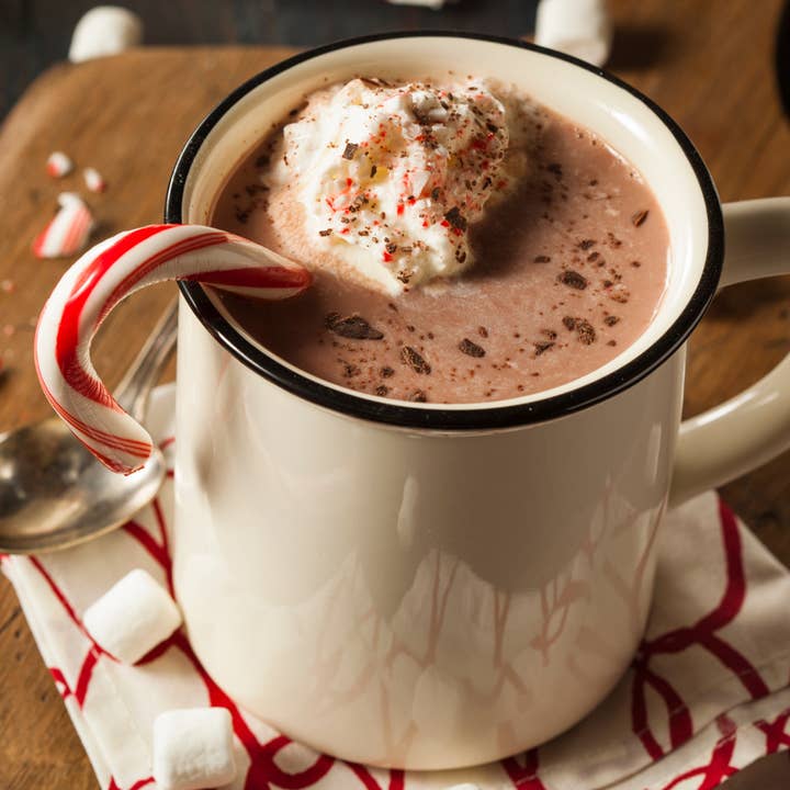 Dry Goods Refillery - Wholesale Hot Cocoa Mix/Kit - "Minty Wonderland" - Hot Cocoa Mix JarÂ
