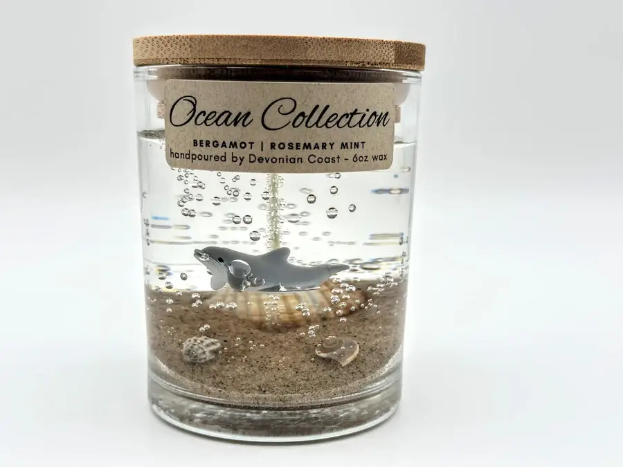 Devonian Coast - Wholesale Novelty Candle - Dolphin Beach Gel Candle – Medium 6oz Wax3
