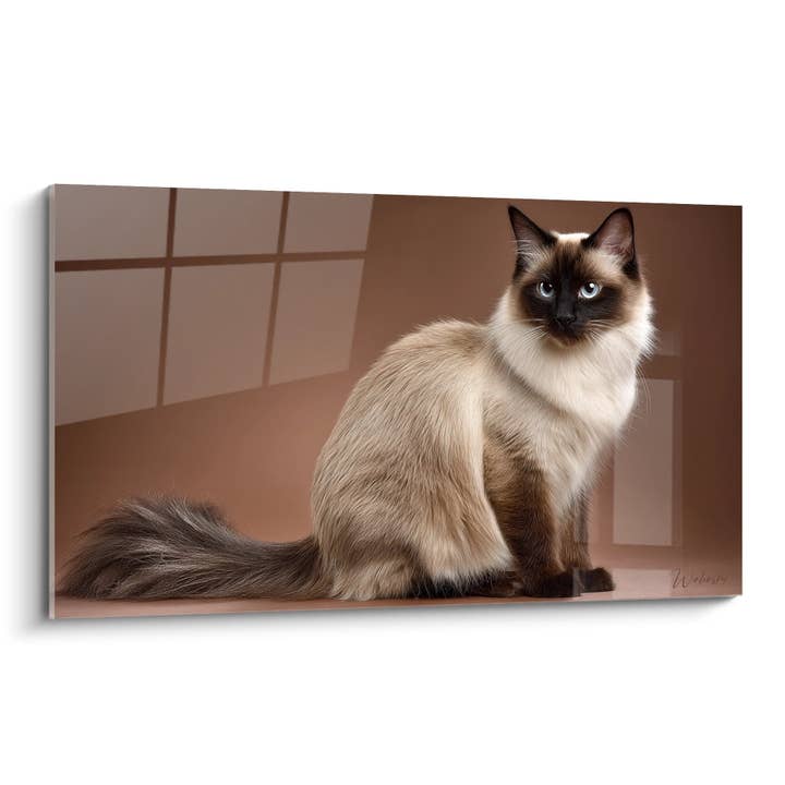 Majestætisk balinesisk kattebillede - Orientalsk ynde - Balinesisk katteudgave for engroshandel hos Walensky