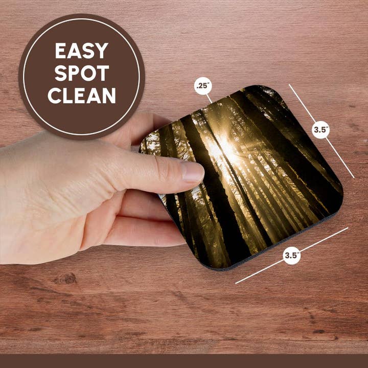 3dRose - Wholesale Coasters - 3dRose, Sunbeam in wooded rainforest, Olympic NP, WA, USA, Coaster13