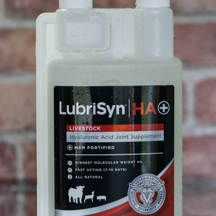 LubriSyn - Wholesale Pet Supplement - Cat/Dog - LubriSynHA Plus MSM Joint Supplement for Livestock