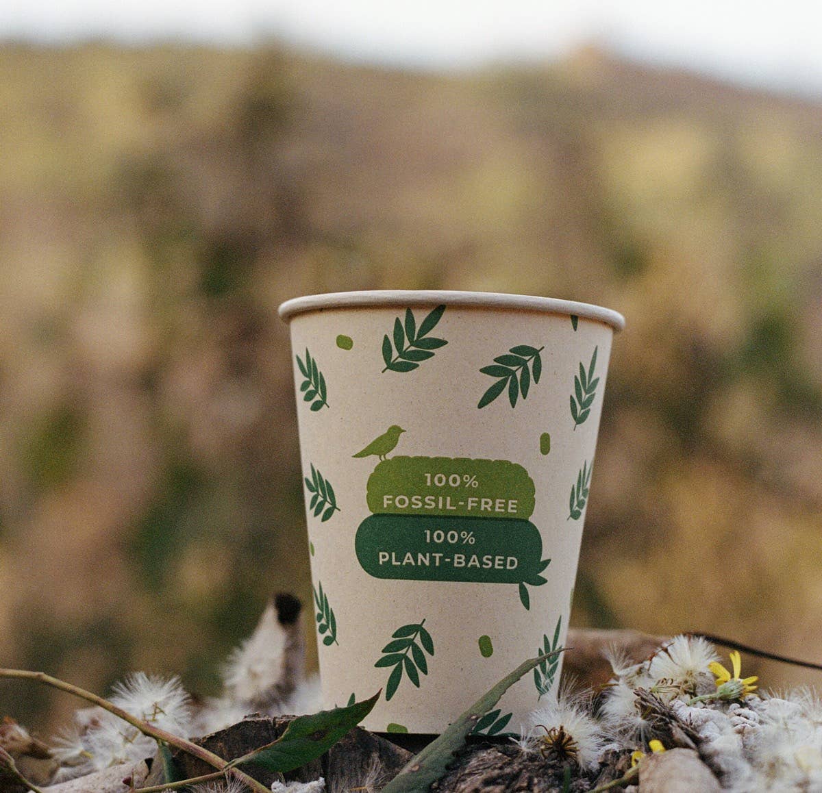 PUREGREEN GmbH – Großhandel Einwegbecher – 100 % biologisch abbaubare Kaffeebecher aus pflanzlichem Material (Packung)4