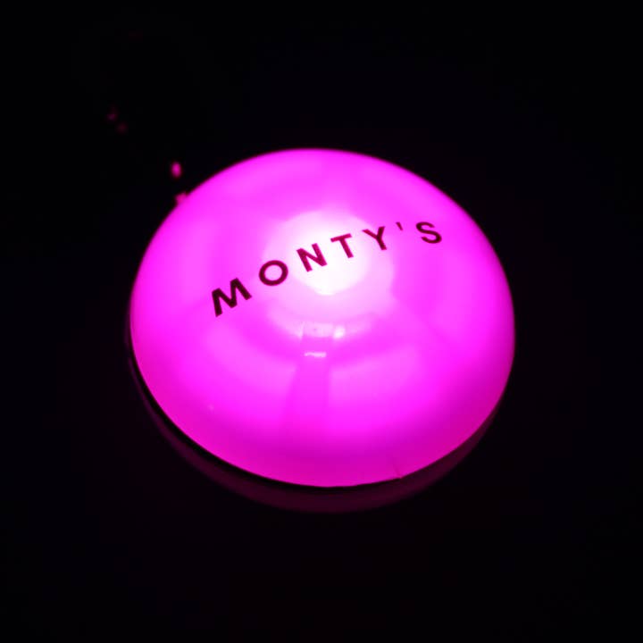 Monty's Bags - Wholesale Pet Collar - Dog - Battery Powered Flashing Dog Collar/Harness Lights7