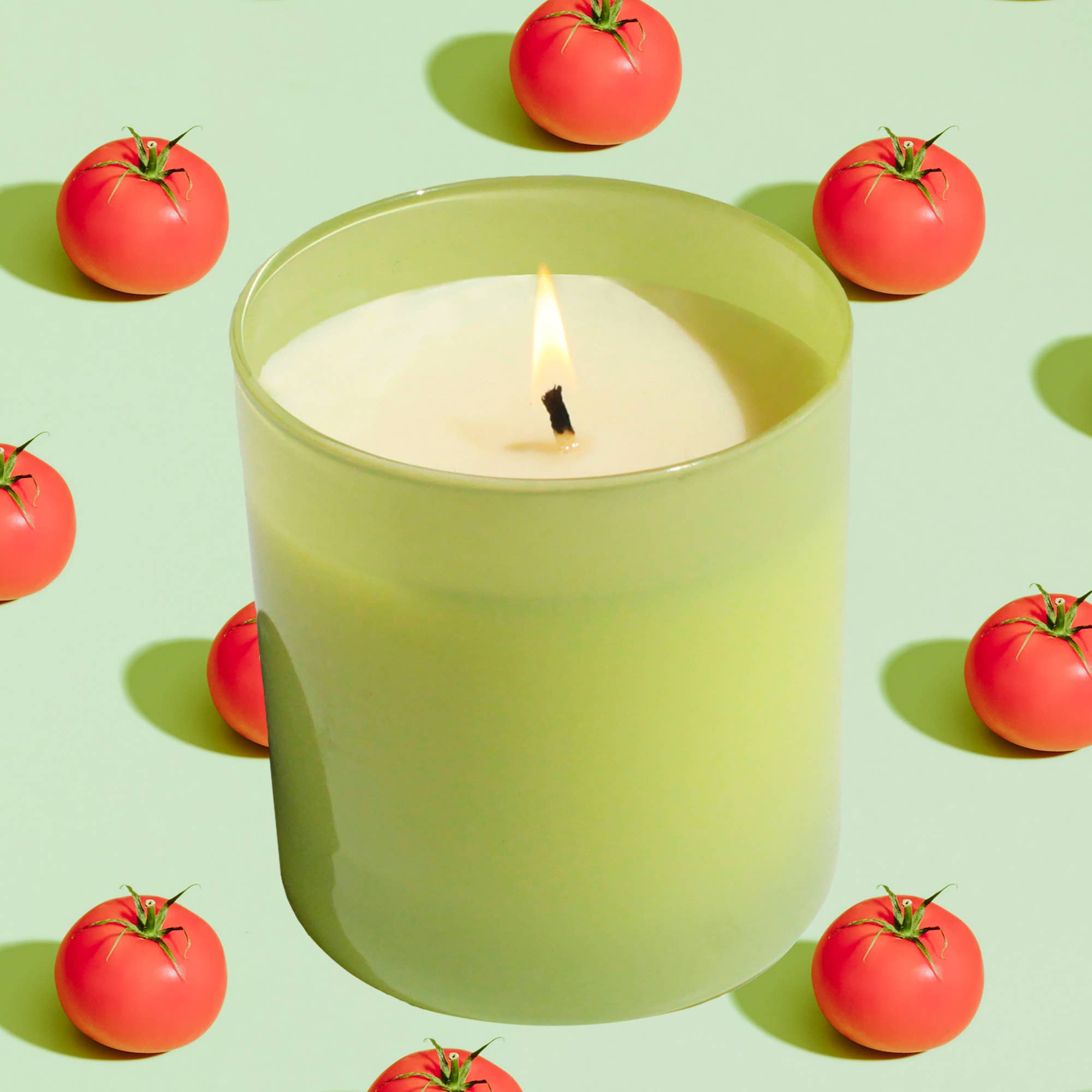 GP Candle Co. - Vendita all'ingrosso Candela in vasetto - Candela Hue da giardino da 9 once (Tomato Vine)4