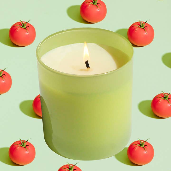 GP Candle Co. - Vendita all'ingrosso Candela in vasetto - Candela Hue da giardino da 9 once (Tomato Vine)4
