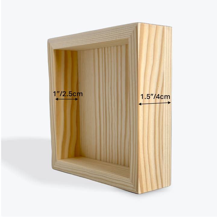 bloomify - Wholesale Live Plant - Bloomify Live Orchid Picture with frame, Maintenance Free Orchid, Psygmorchis Pusilla, Live Green Wall Décor, Blooming, No Green Thumb Necessary, Great for Work, Home, Wall Décor, Unique Gift.8