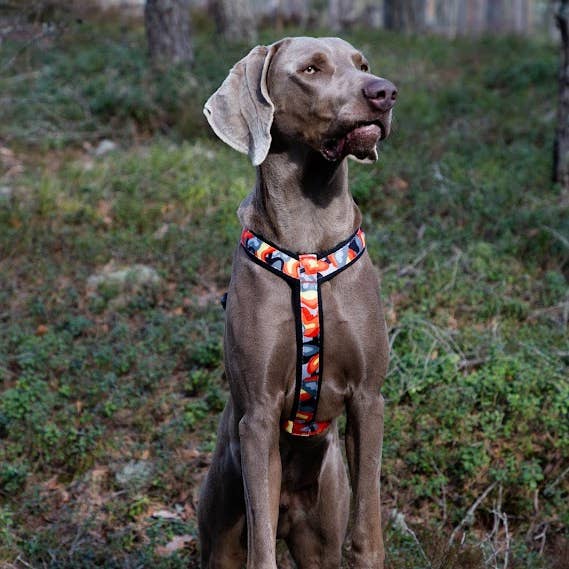 FINNERO – Arnês – Cão por atacado – FINNERO CAMOCOLOR peitoral Y ajustável para cães, 3 cores8