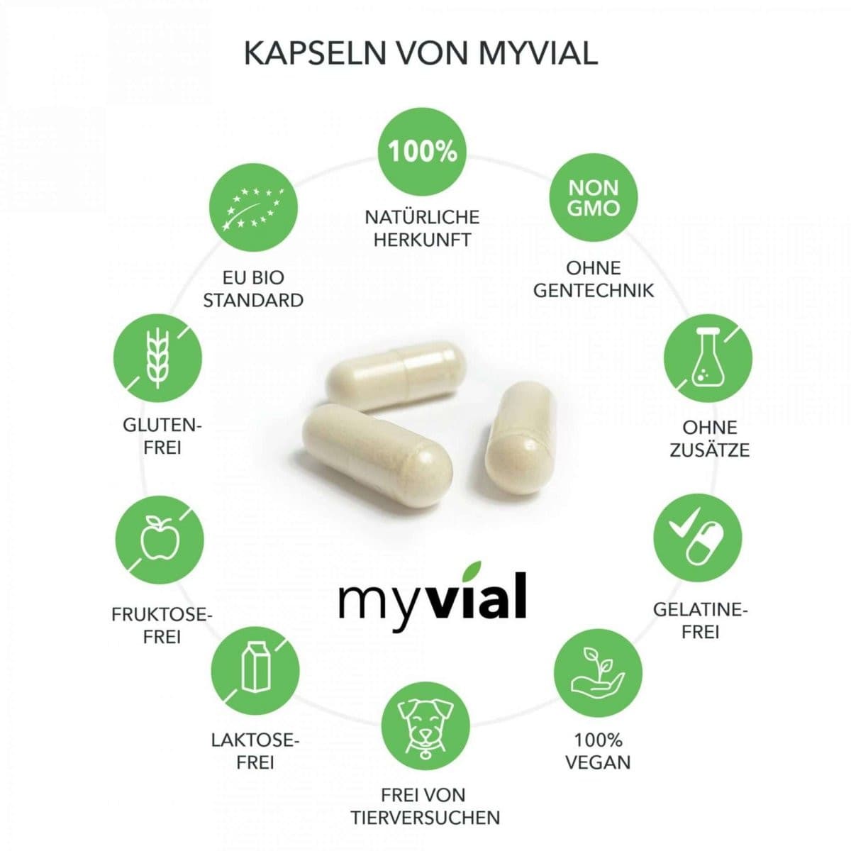 myvial - Wholesale Oral Supplement/Vitamin - Organic Chaga 120 capsules2