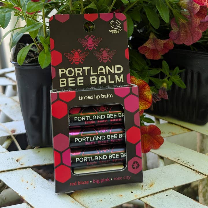 Portland Bee Balm - Wholesale Lip Balm Set - Tinted Assorted Beeswax Lip Balm 3-Pack 6
