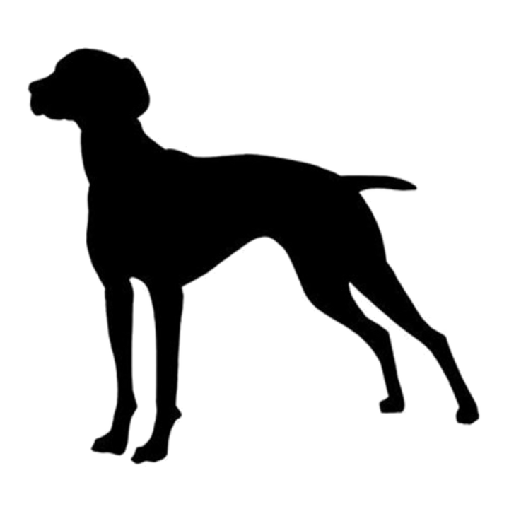 Rusty Dog Coffee - Wholesale Coffee Beans - Wholesale - Vagabond Blend1