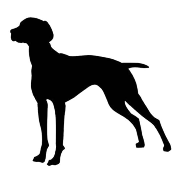 Rusty Dog Coffee - Wholesale Coffee Beans - Wholesale - Vagabond Blend1