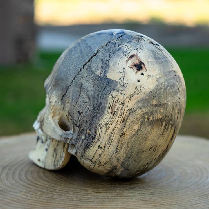 Calavera de madera de tamarindo de 5 pulgadas de tamaño natural para venta al por mayor de OddNot