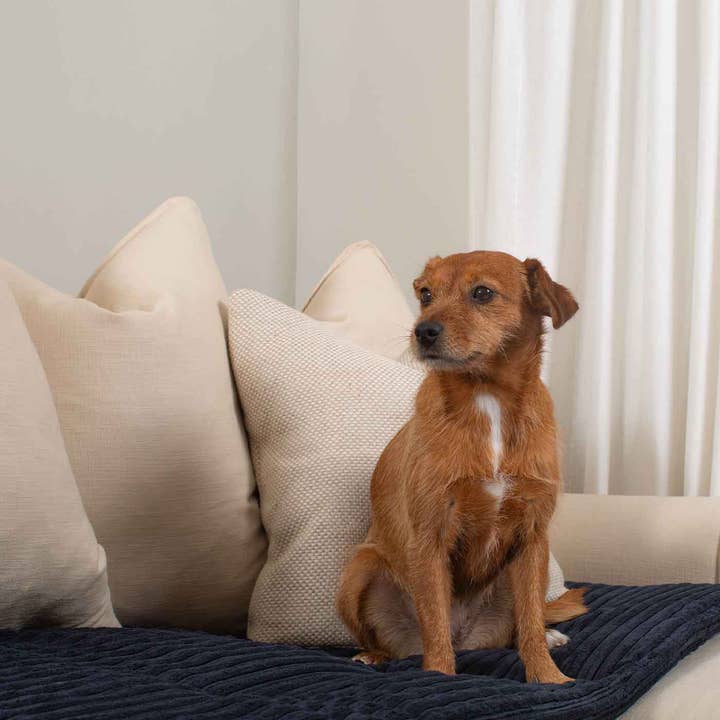 Sofa Topper in Navy Essentials Plush by Lords & Labradors for wholesale on Faire