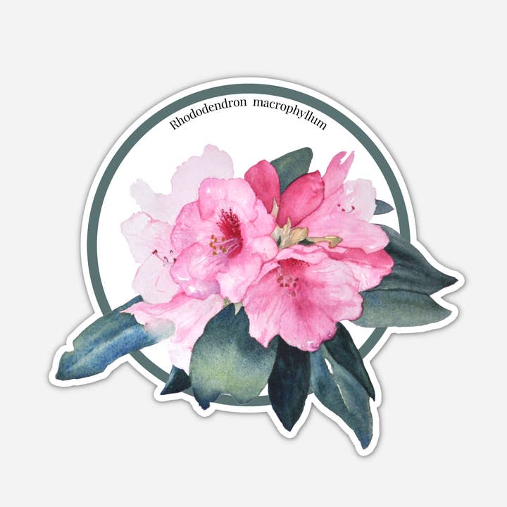 CMarie Northwest - Wholesale Sticker - Rhododendron, Geometric Floral Sticker, WA State Flower