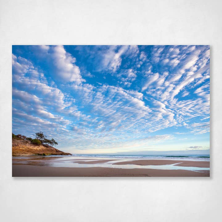 På vej op for engroshandel hos Ocean's Echo