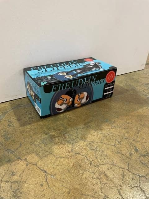 Unemployed Philosophers Guild – Engroshandel Slippers - Unisex – Freudianske hjemmesko2