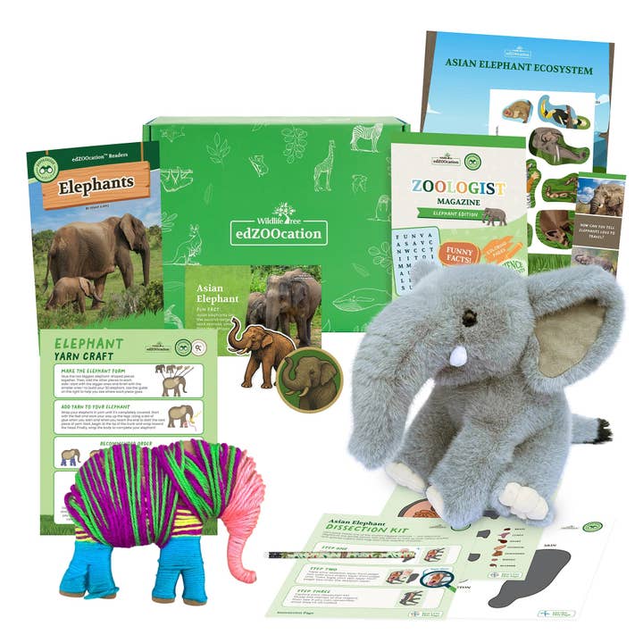 Wildlife Tree - Wholesale Toy Set - Kids - Elephant Zoologist Box (Ages 6-8)2