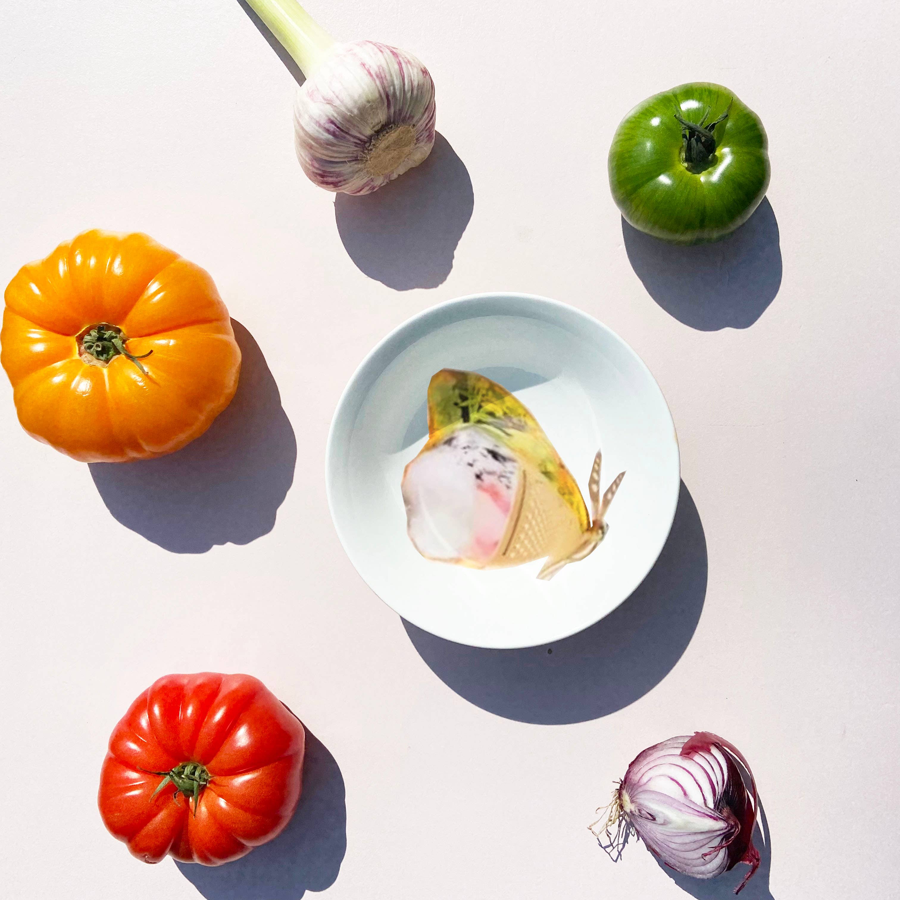 Bordy's – wholesale Salladstallrik – La dolce vita di una farfalla- Insalatiere Piccole7