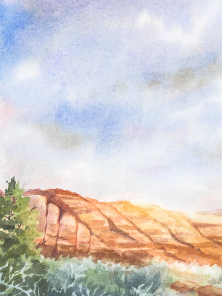 Snow Canyon per la vendita all'ingrosso da parte di Sierra McGuire Art