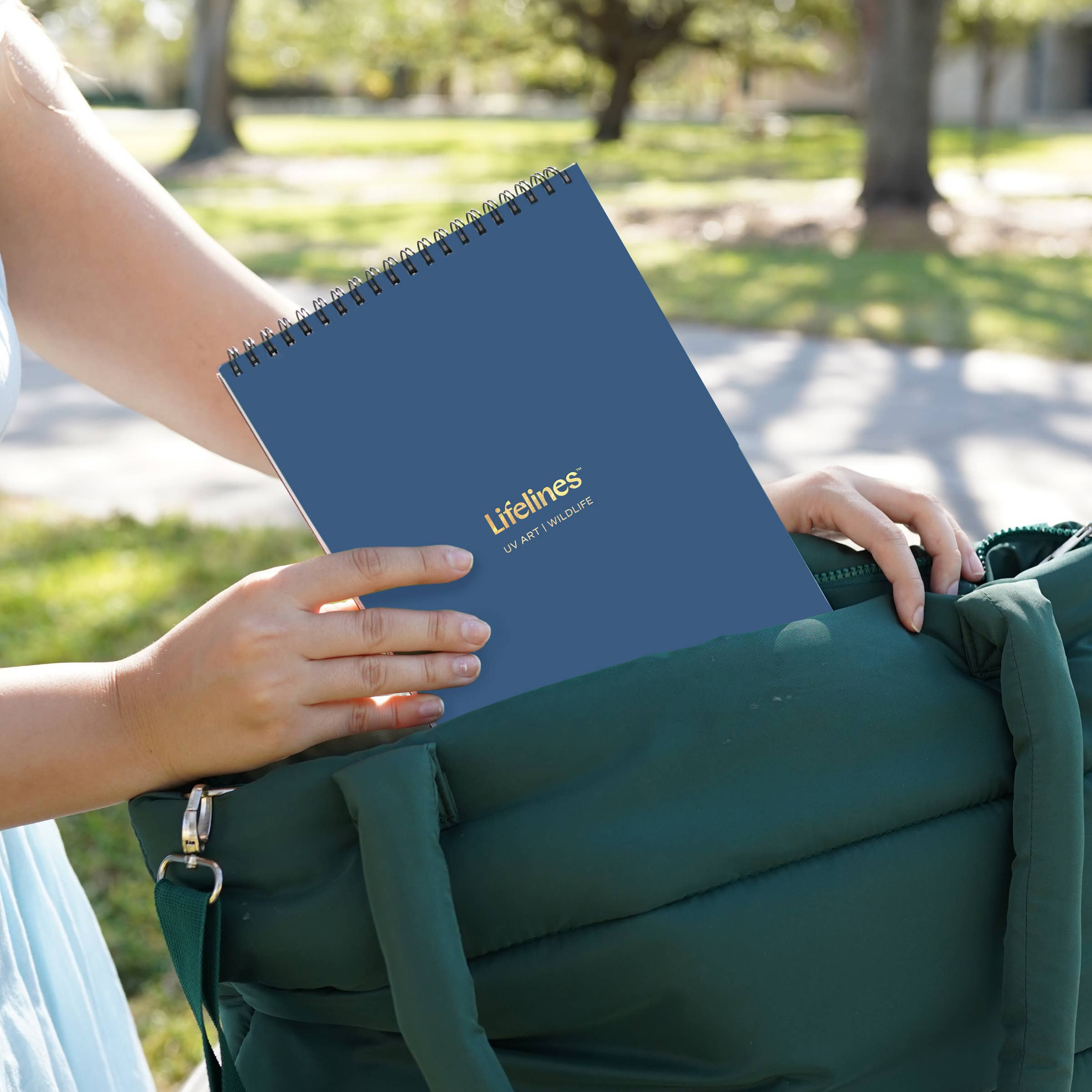 Lifelines - Wholesale Art Set - Kids & Baby - FlowArt  UV- Wildlife 8