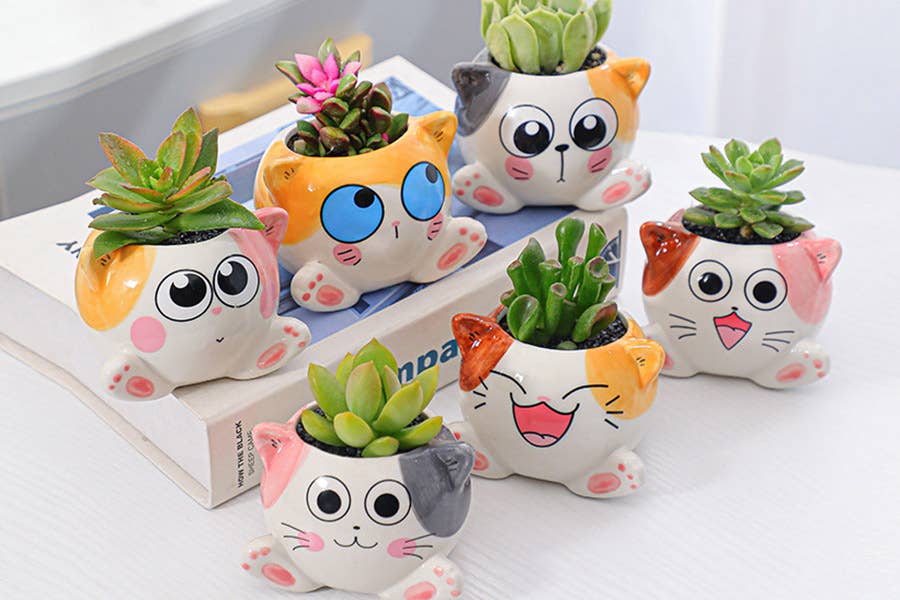 Springer Décor - Wholesale Plant pot - Sitting Cats