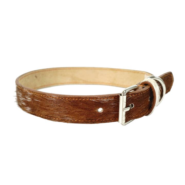 Rodeo - Wholesale Pet Collar - Dog - Cowhide Leather Dog collar
