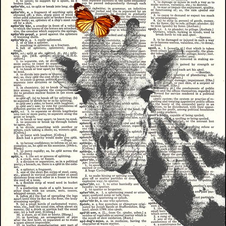 Butterfly on Giraffe Dictionary Print for wholesale by Fresh Prints of CT