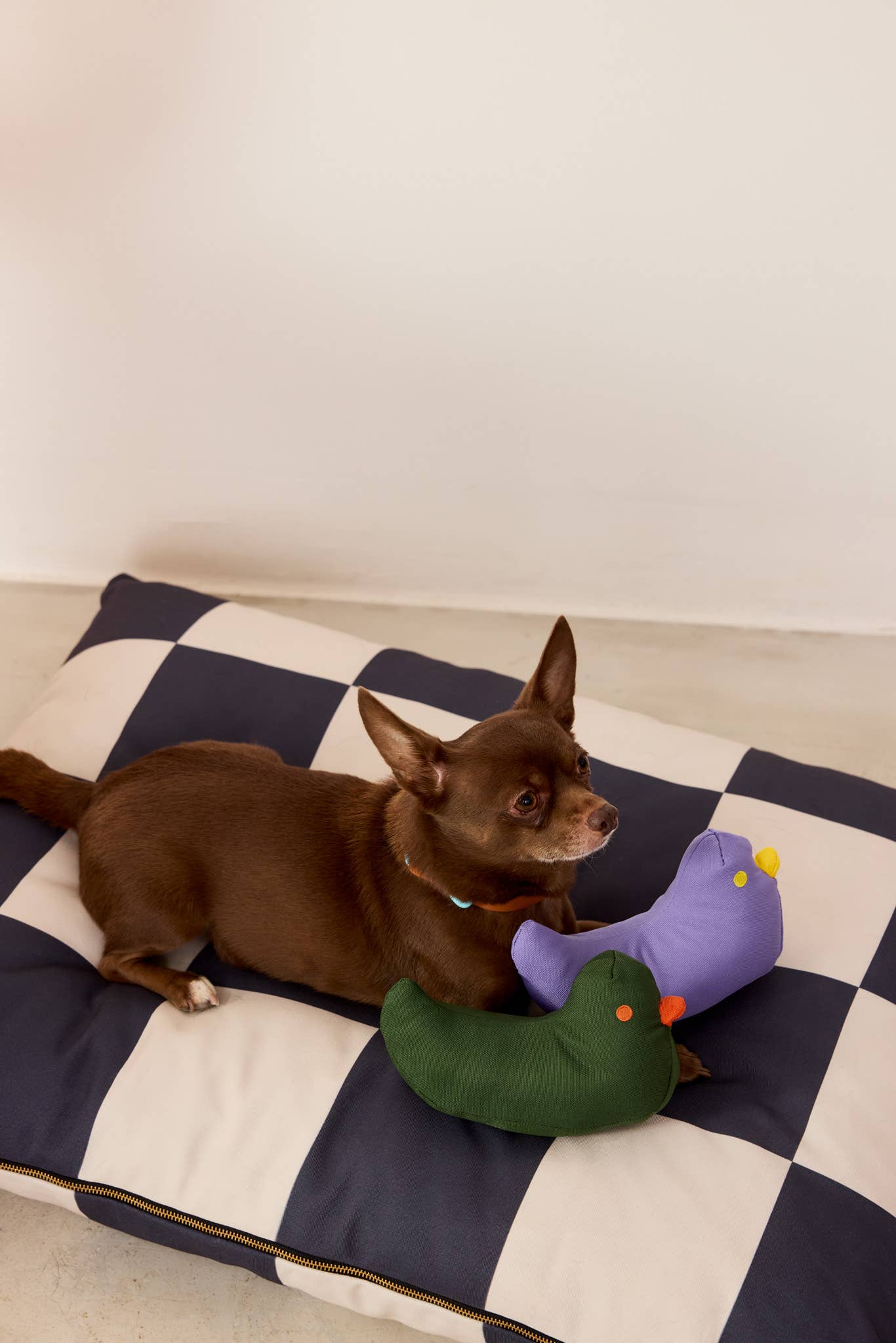 Approved by Fritz - USA – Engroshandel Seng - Hund – Fritz Hundeseng | Genanvendt | Maskinvaskbar8