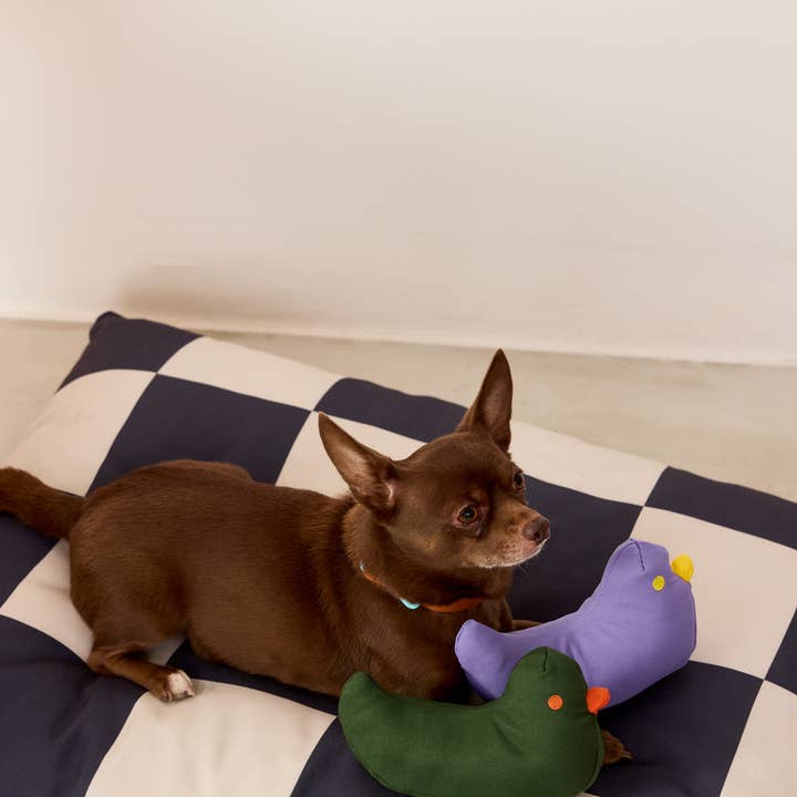 Approved by Fritz - EUROPE - Wholesale Pet Bed - Dog - The Fritz Dog Bed Machine Washable, Recycled, Scratch Proof 3