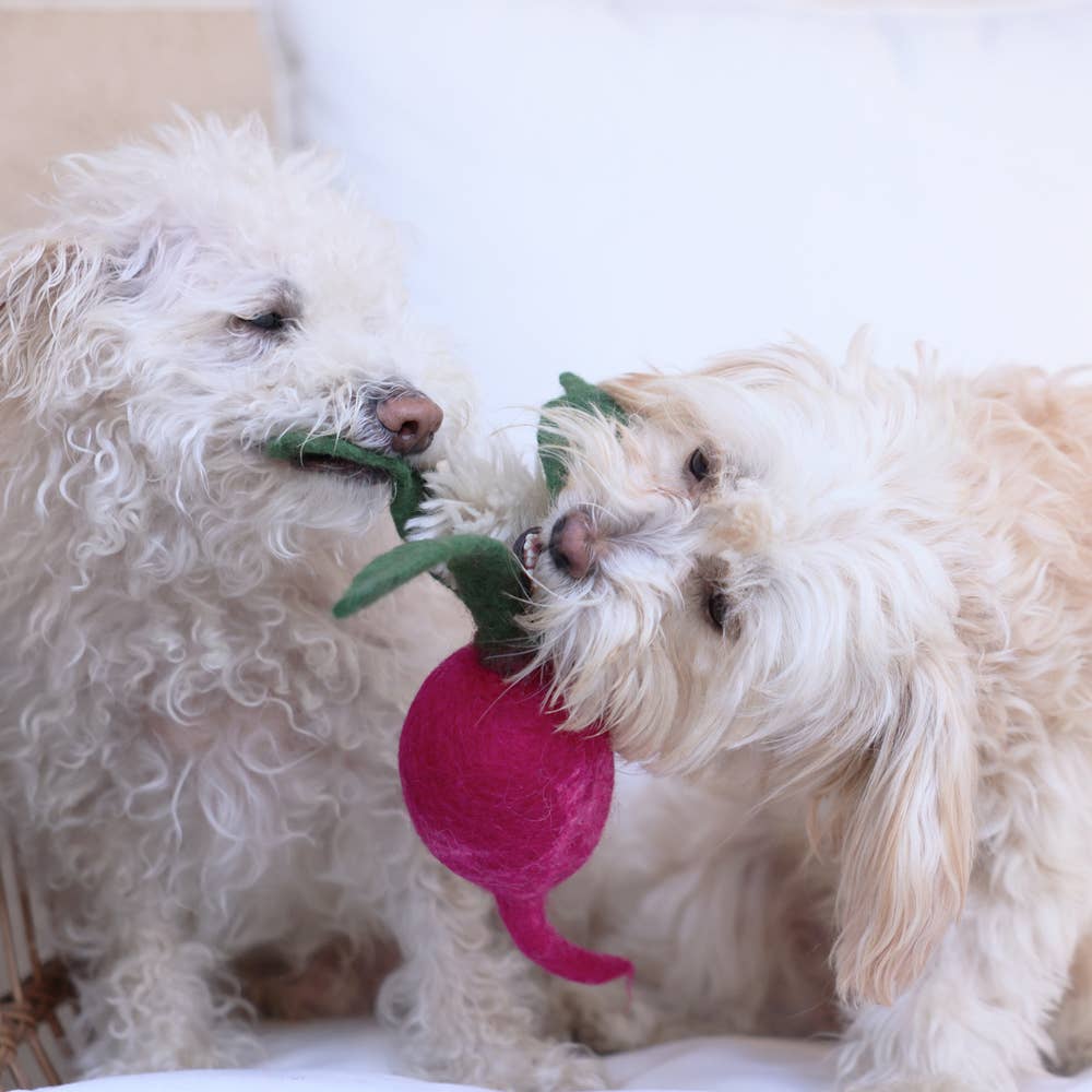 MODERNBEAST - Wholesale Pet Chew Toy - Dog - WOOL TURNIP Wool Dog Toy1