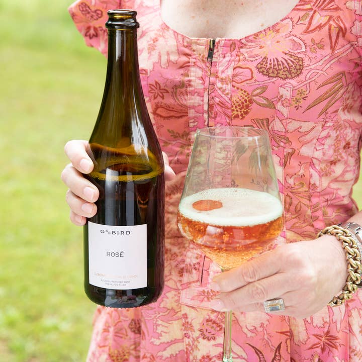 The Zero Proof - Wholesale Non-Alcoholic Spirits/Wine/Beer - Oddbird Non-Alcoholic Sparkling Rosé2