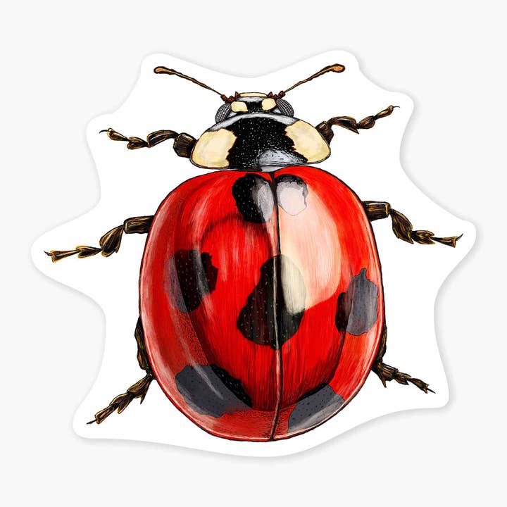 Nice Enough Stickers - Wholesale Sticker - Ladybug - 3" Art Sticker