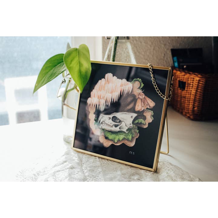 Lion'S Mane Mushroom And Big Brown Bat Skull Framed Print for wholesale by Brevity Art