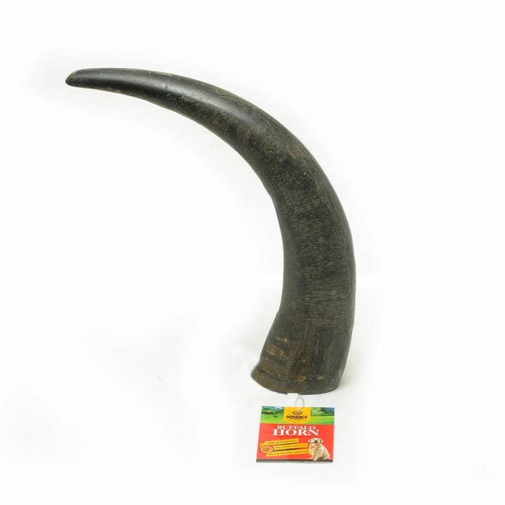 Advance Pet Products - Wholesale Pet Treats - Dog - Water Buffalo Horns! Great for aggressive chewers! Long-last
