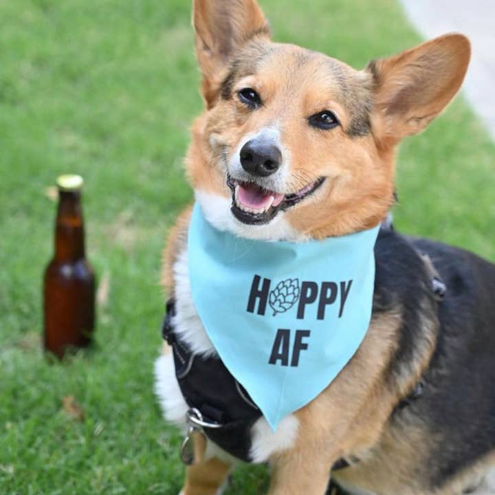 Hoppy AF Pet Bandana for wholesale by Craft Beer Pet Gear