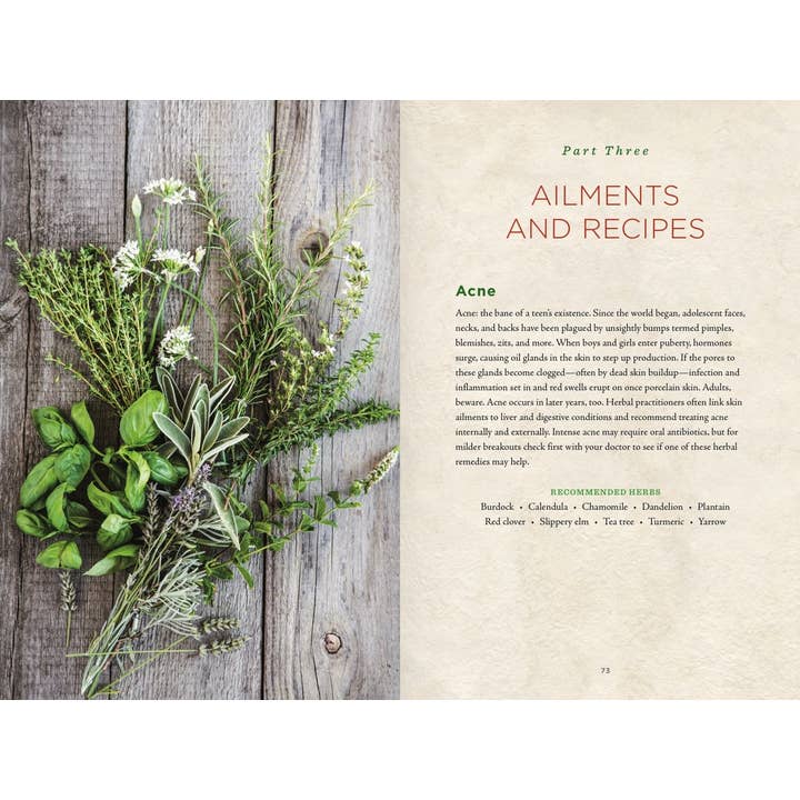 Union Square & Co. - Wholesale Book - Adult - Healing Herbs Handbook: Recipes for Natural Living