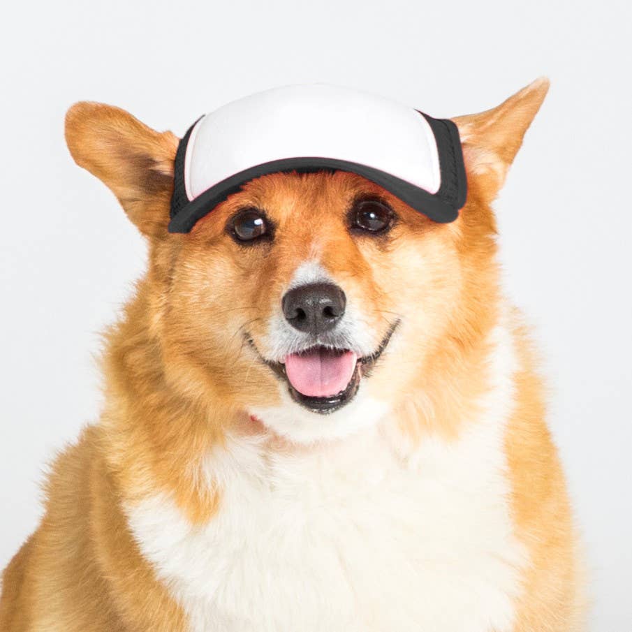 PupLid – wholesale Hatt - Hund – Blank Foam truckerkeps för hundar16