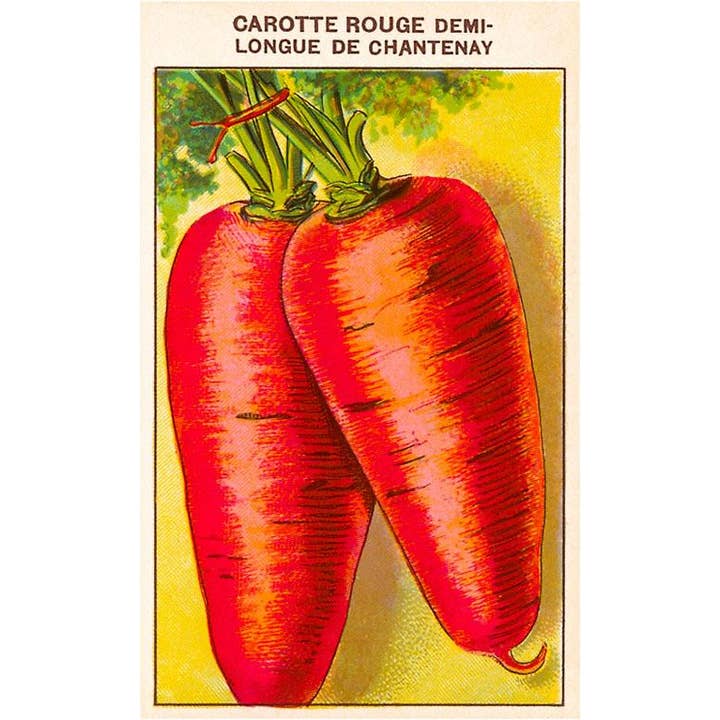 Konsttryck GD-45 Fransk Morotsfröpåse för wholesale av Found Image Press